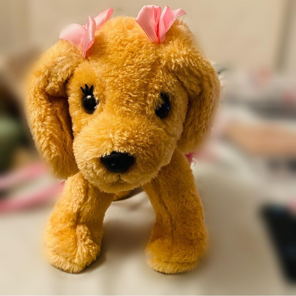 Poochie Kids Accessories